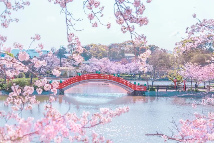 🌳 하부 공원(하부 코엔) 이미지 7